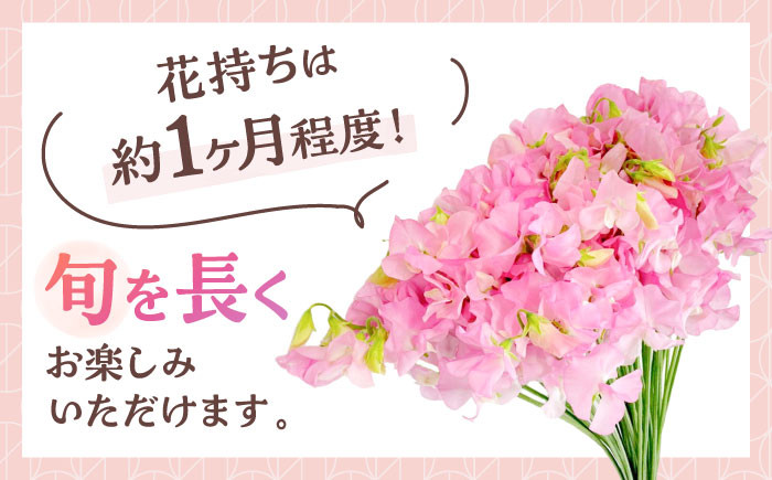 大切なあの人へのギフトにもおすすめ！