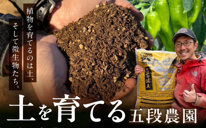 旬のお野菜 ボックス 栽培期間中化学肥料・農薬不使用 やさい 季節の野菜