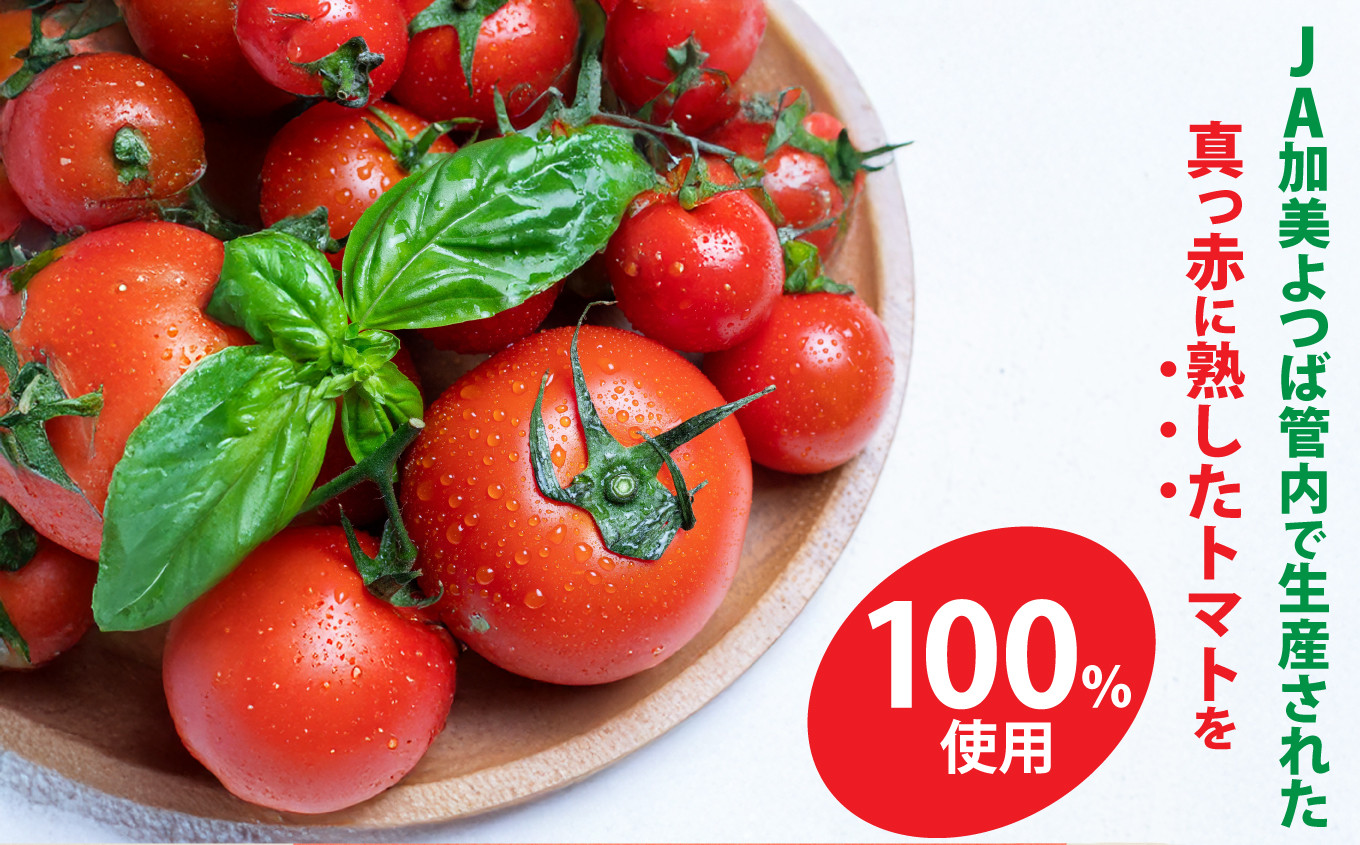 とまとケチャップ 380g×3個 [JA加美よつば（営農企画課） 宮城県 加美町 ] 調味料 | yo00008-3