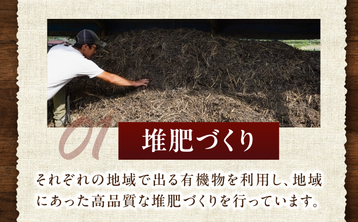 旬のお野菜 ボックス 栽培期間中化学肥料・農薬不使用 やさい 季節の野菜