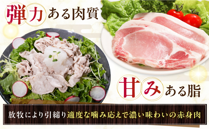 ハム ベーコン モモ 豚肉 ブロック