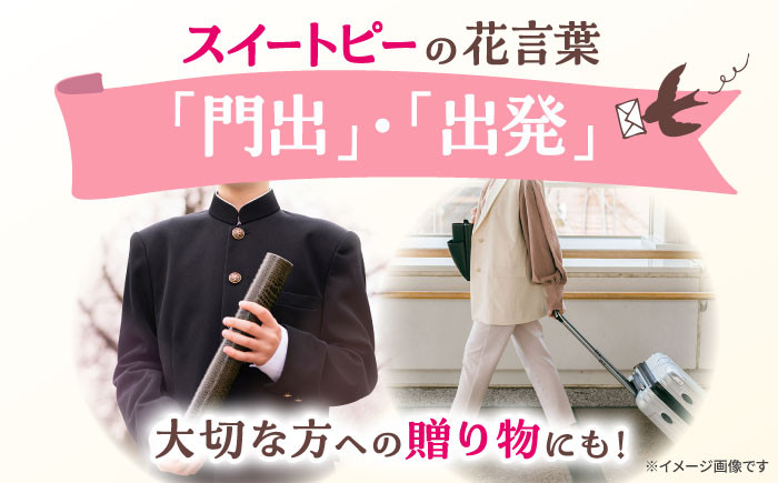 大切なあの人へのギフトにもおすすめ！