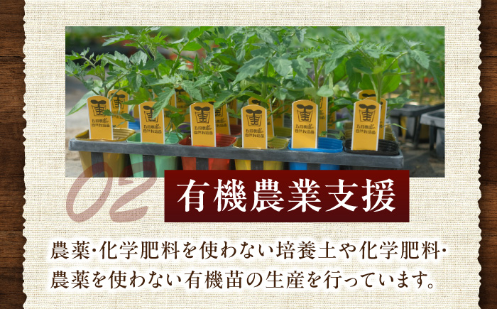 旬のお野菜 ボックス 栽培期間中化学肥料・農薬不使用 やさい 季節の野菜