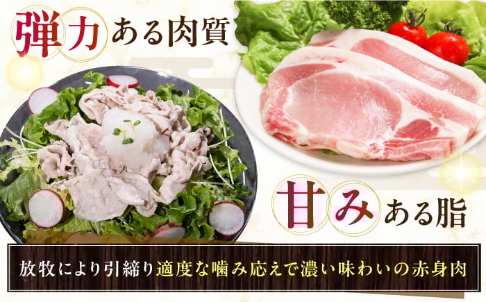 ハム ベーコン モモ 豚肉 ブロック