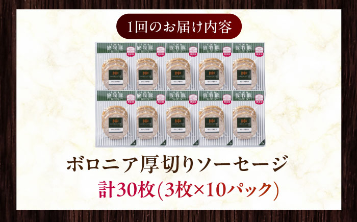 ソーセージ ウインナー 粗挽き