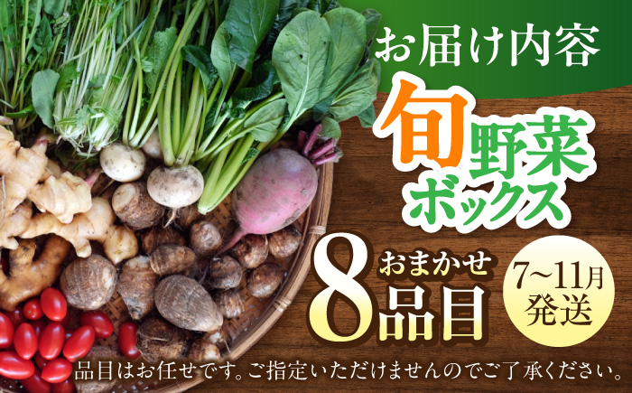 旬のお野菜 ボックス 栽培期間中化学肥料・農薬不使用 やさい 季節の野菜
