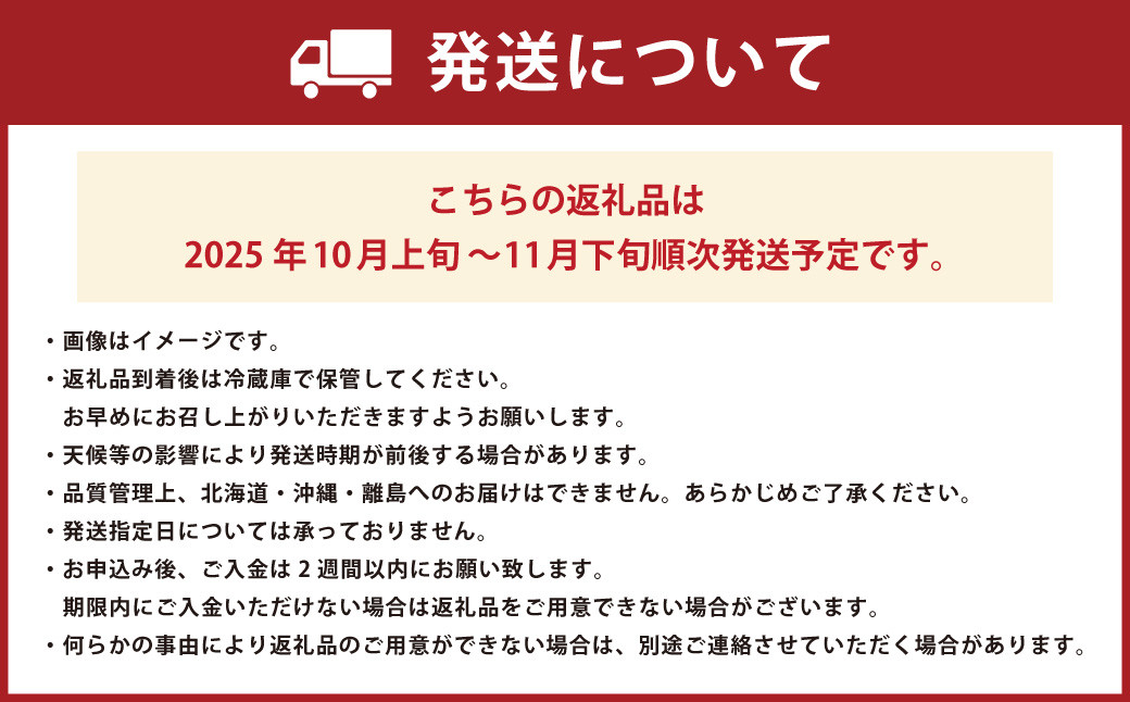 福岡県産 博多秋王 約3.1kg以上(8玉～12玉入り)