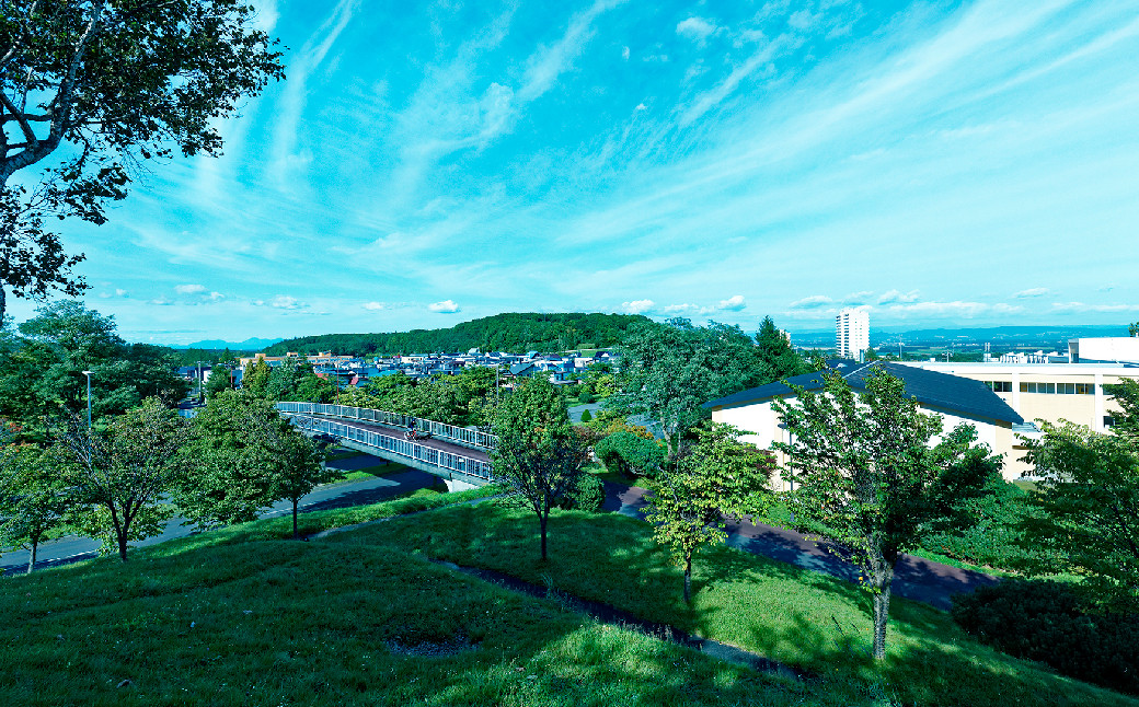 【6月22日（日）開催】「Fビレッジハーフマラソン2025」ハーフマラソンの部 参加権【お一人様1回】