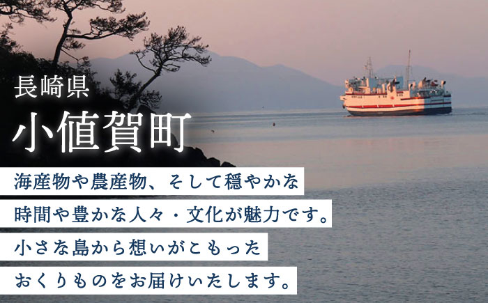 長崎 角煮