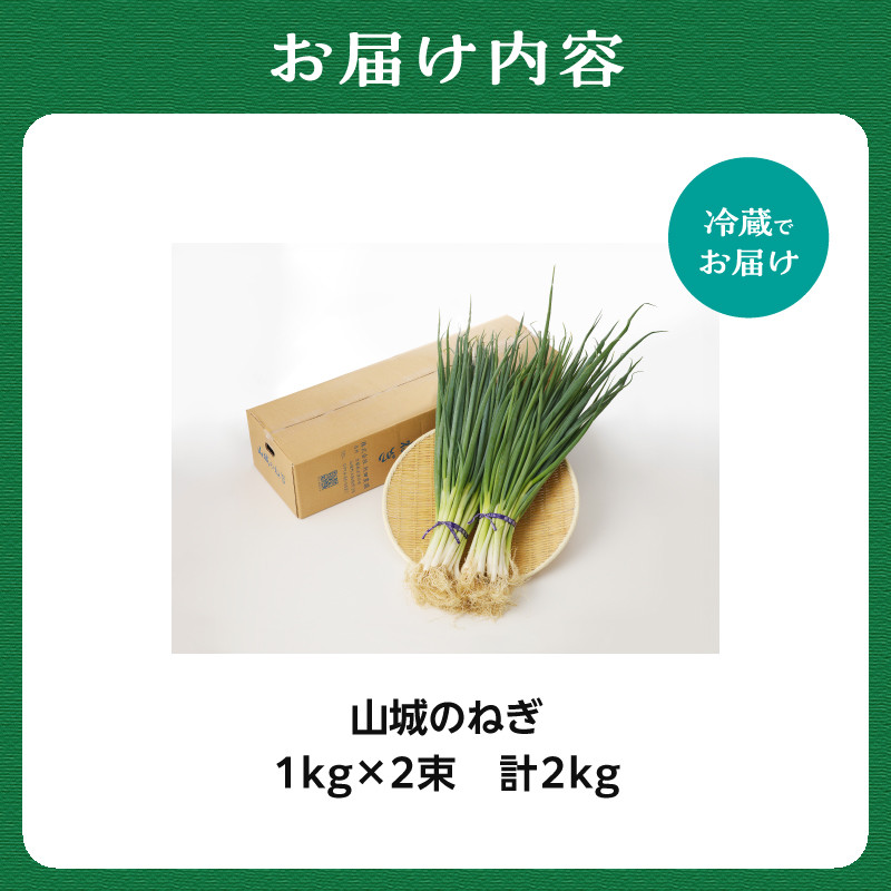 山城のねぎ 2kg