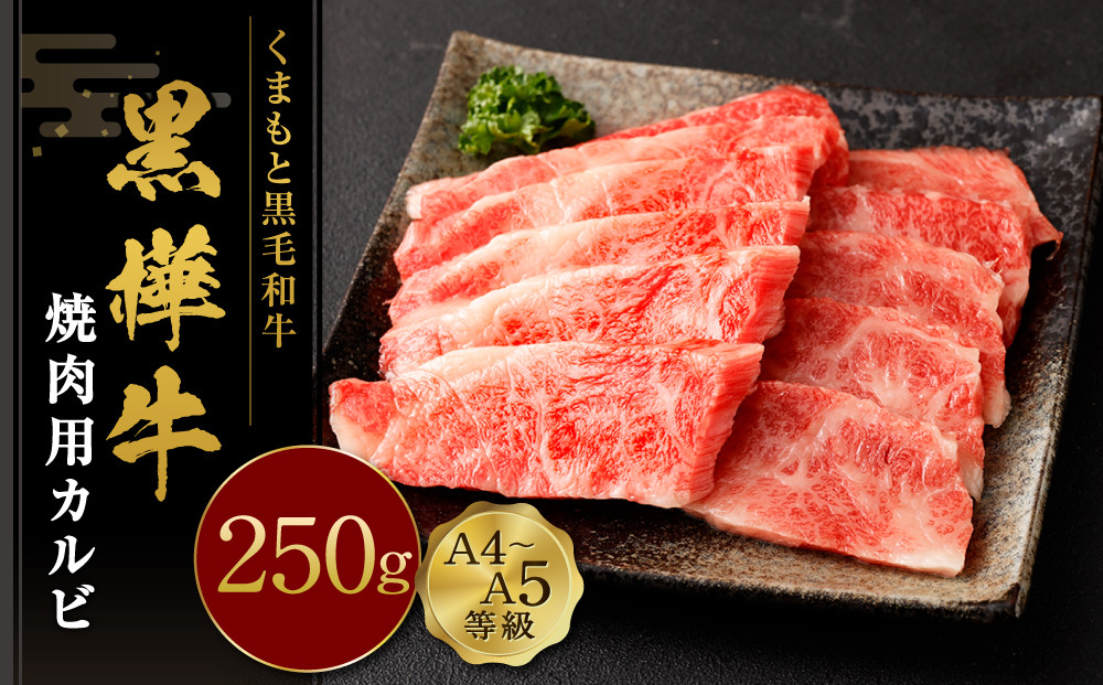くまもと黒毛和牛 杉本本店 黒樺牛 A4～A5等級 焼肉用カルビ 250g