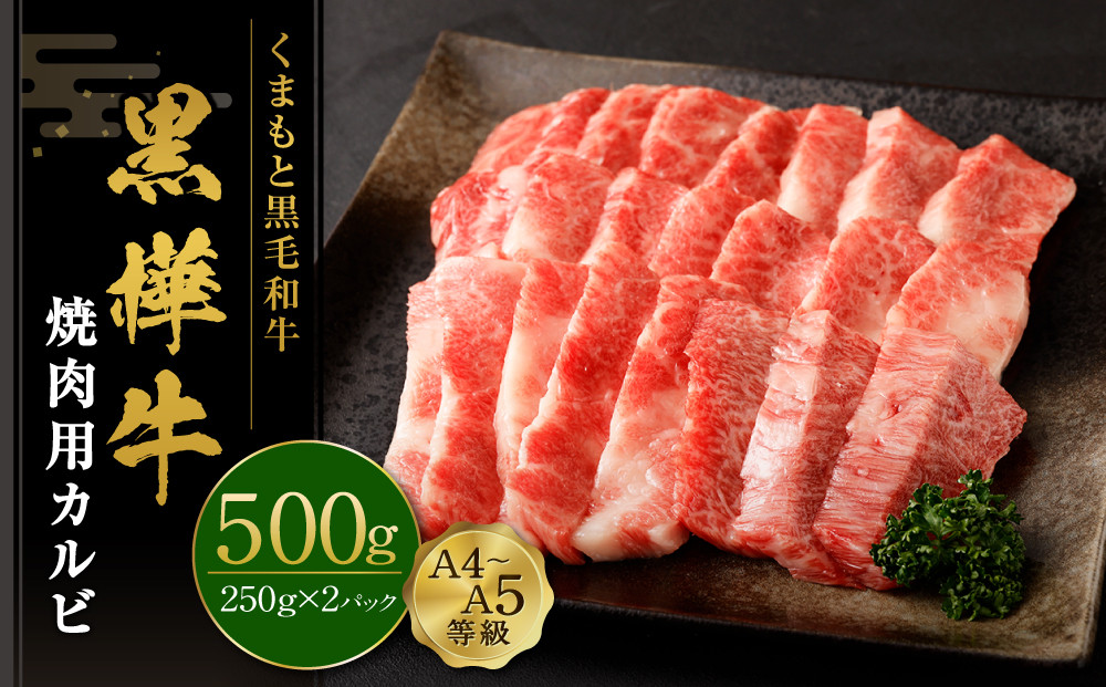 くまもと黒毛和牛 杉本本店 黒樺牛 A4～A5等級 焼肉用カルビ 500g