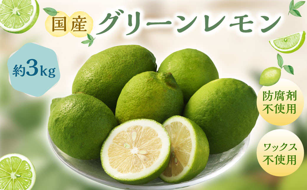 国産グリーンレモン 3kg｜  フルーツ 果物 柑橘 グリーンレモン レモン れもん 檸檬 国産 静岡県 菊川市