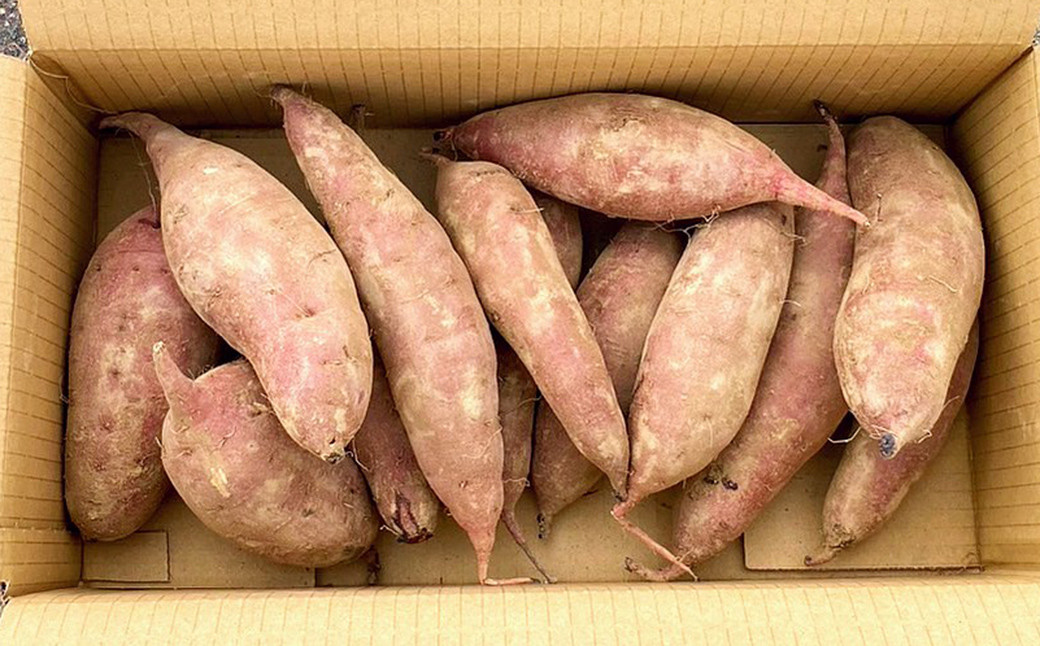 熊本県産 熟成高糖度 紅はるか 熟成生芋10kg