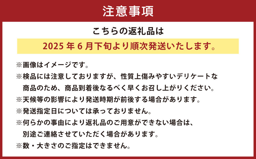 枝豆 湯あがり娘 約2kg ｜ 野菜 豆 えだまめ おつまみ おやつ 旬 旬の野菜 国産 小分け 個包装 静岡県 菊川市