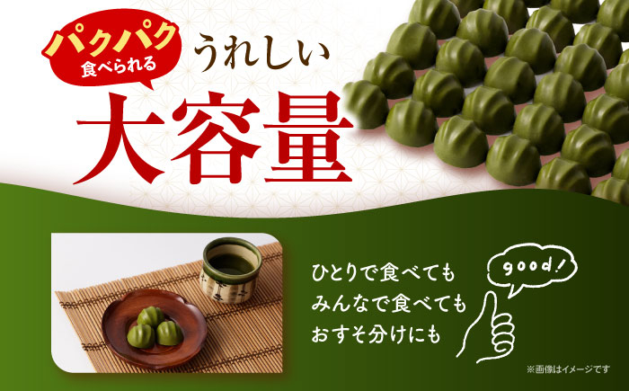 お菓子 菓子 おかし デザート チョコレート マカダミア マカダミアチョコレート ナッツ 抹茶 抹茶チョコレート 大容量