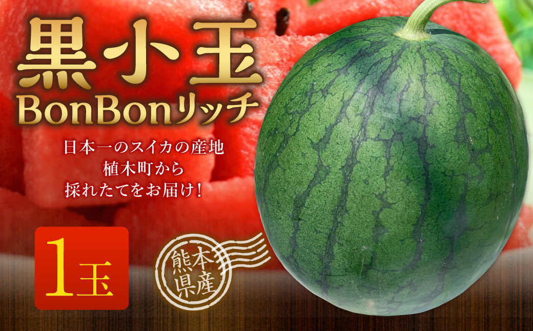 黒小玉BonBonリッチ