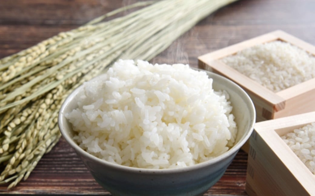 【令和8年産】【大地の米】 訳あり 4kg(2kg×2) くまさんの輝き
