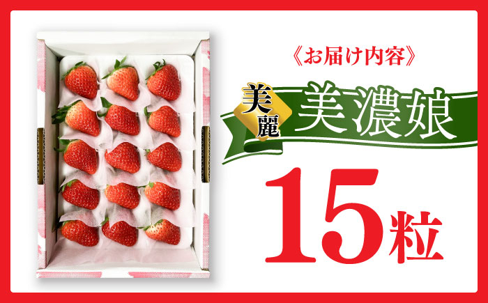 いちご イチゴ 苺 美濃 岐阜 ストロベリー 化粧箱 果物 季節 フルーツ 甘味