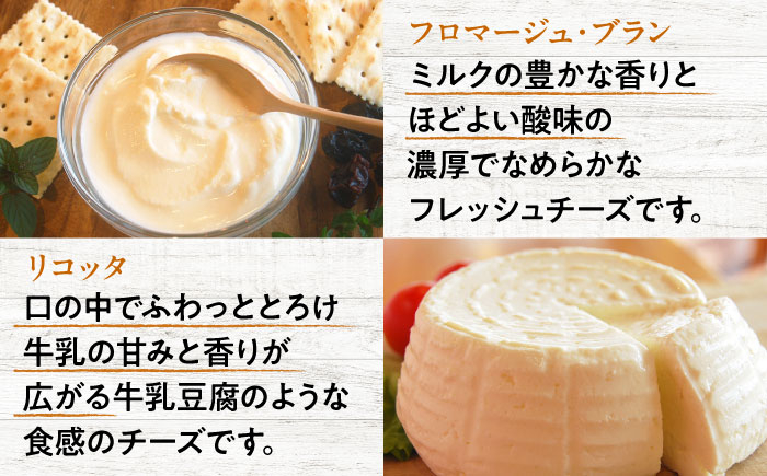 チーズ ヨーグルト 詰め合わせ モッツァレラ フレッシュチーズ 無糖 プレーン