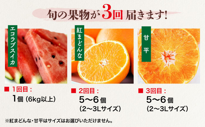 エコラブスイカ すいか スイカ 紅まどんな 紅マドンナ 甘平 かんぺい みかん ミカン フルーツ 果物  柑橘 定期便 
