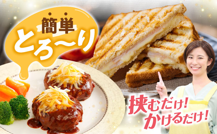 マリンフード チーズ＆バター13種 詰め合せ セット チーズ スライス チーズ シュレッドチーズ バター 乳酪バター 燻製バター