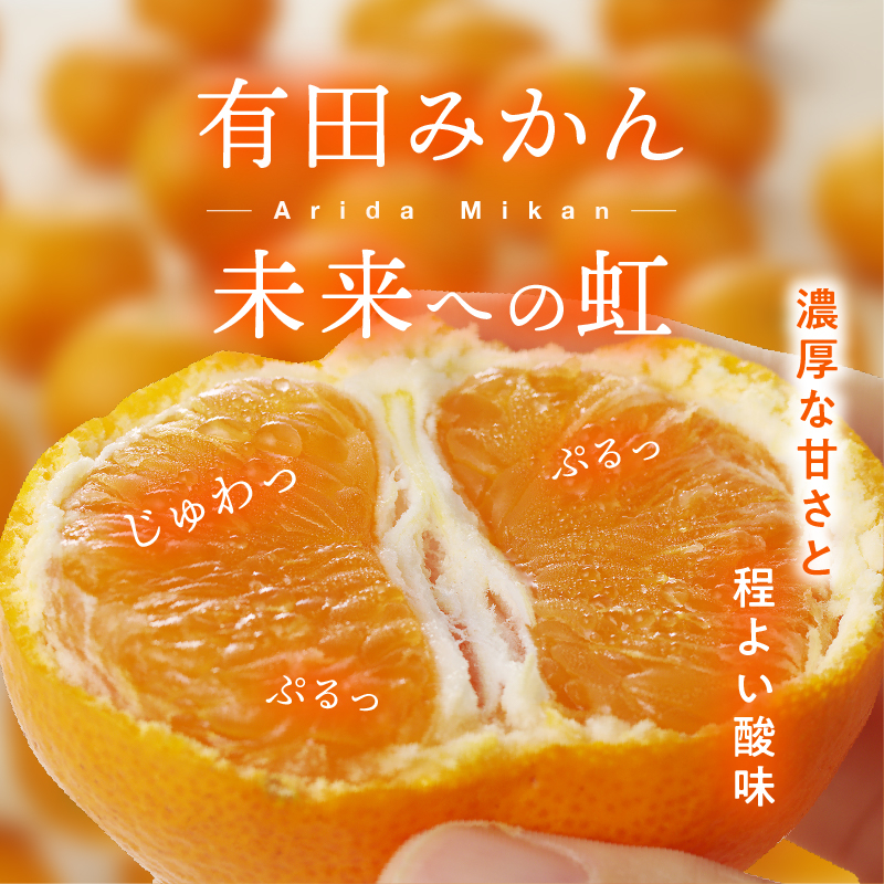 ※画像はイメージです