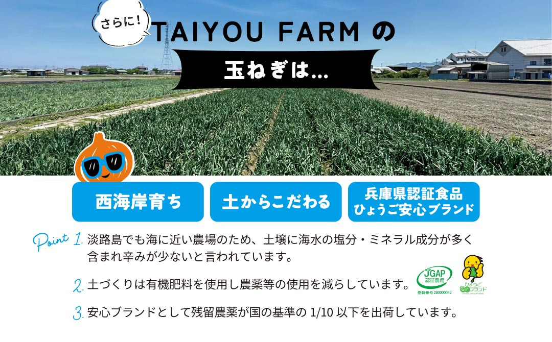 淡路島産 早採り新玉ねぎ ５kg