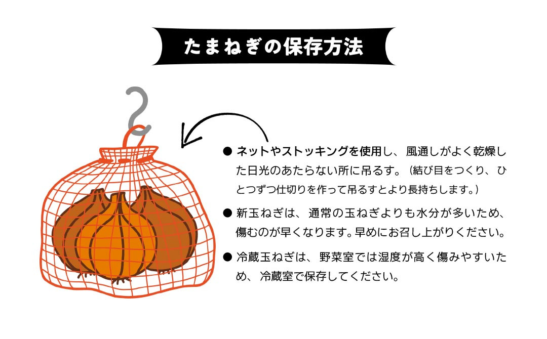 淡路島産 早採り新玉ねぎ ５kg
