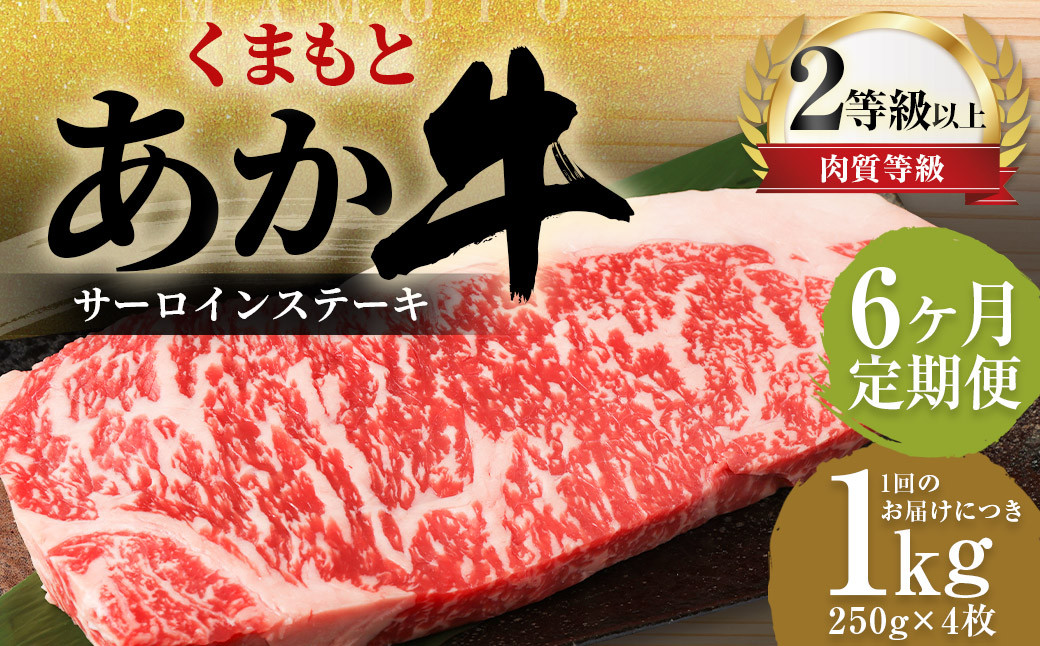 【6ヶ月定期便】 くまもと あか牛 サーロイン 1.0kg(250g×4枚)