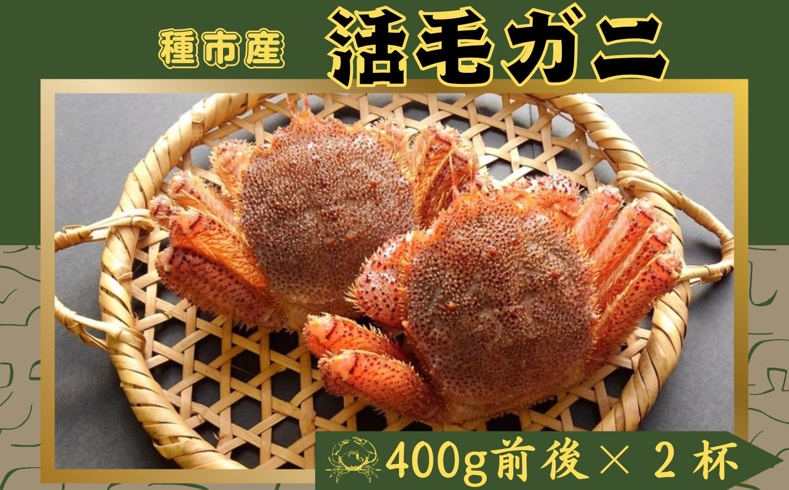大サイズ400g前後×2杯をお届けします