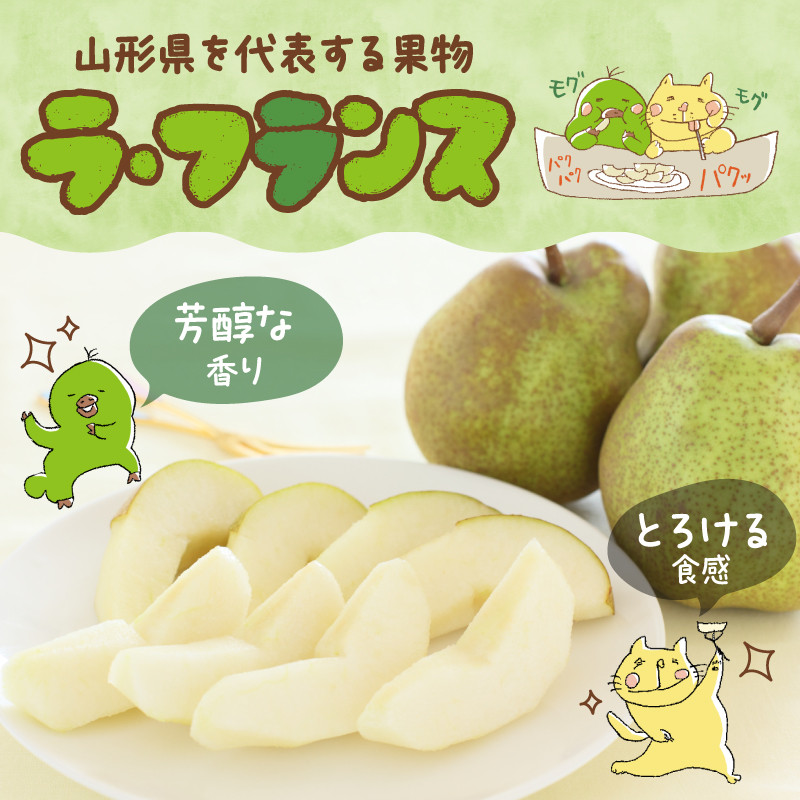 《先行受付》大江町産 山形ラフランス 5kg 13～20玉 L～5L【2025年11月中旬頃～発送予定】