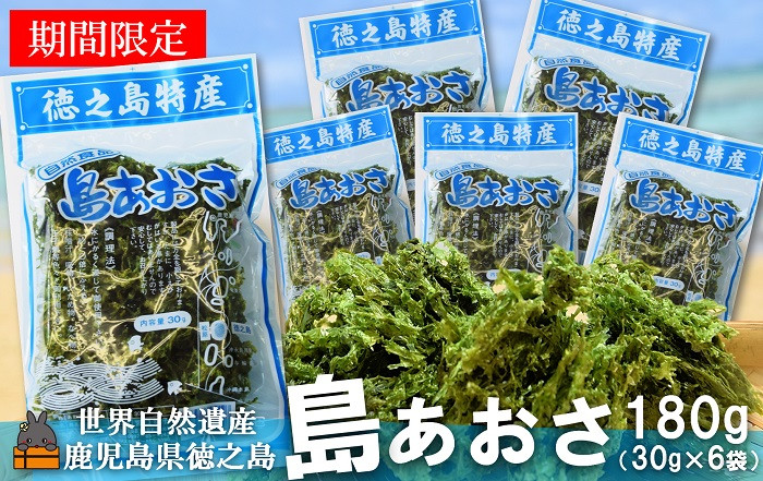 収穫されたばかりの“徳之島産島あおさ”をお届けします！