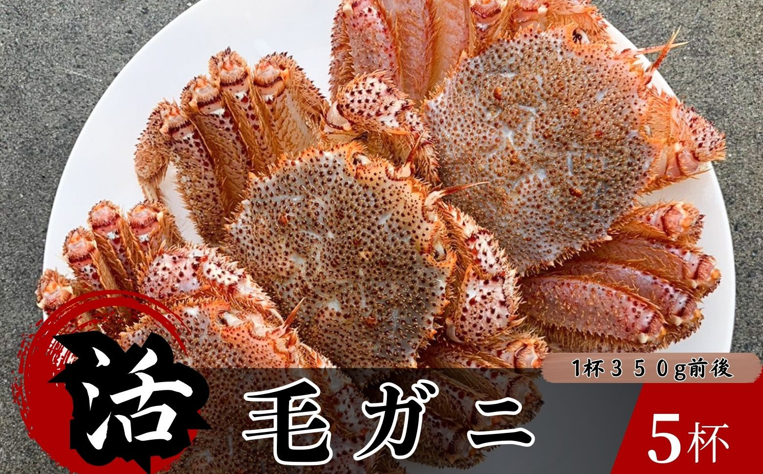 北三陸洋野町産活毛ガニを生きたままお届け
