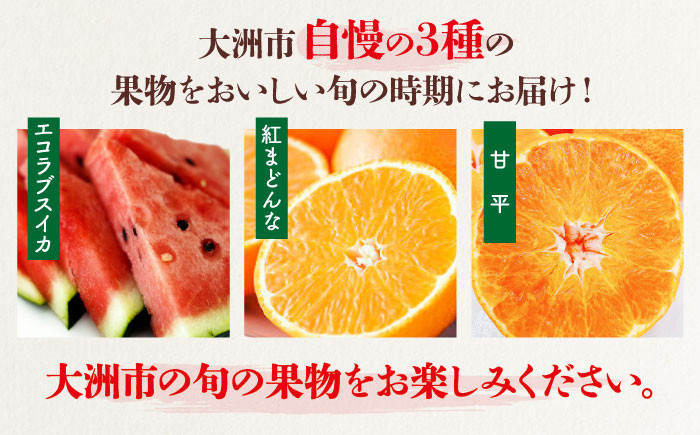 エコラブスイカ すいか スイカ 紅まどんな 紅マドンナ 甘平 かんぺい みかん ミカン フルーツ 果物  柑橘 定期便 