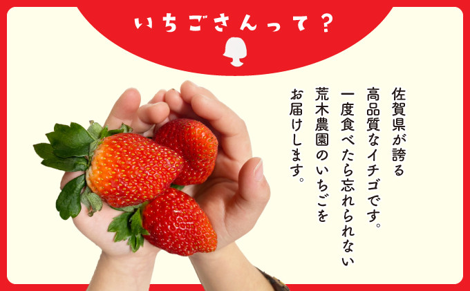 配送時に傷みにくい「ゆりかごパック」でお届けします