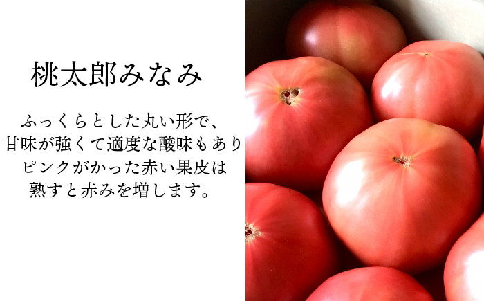 「りんか409」または「桃太郎みなみ」のどちらかをお届けします