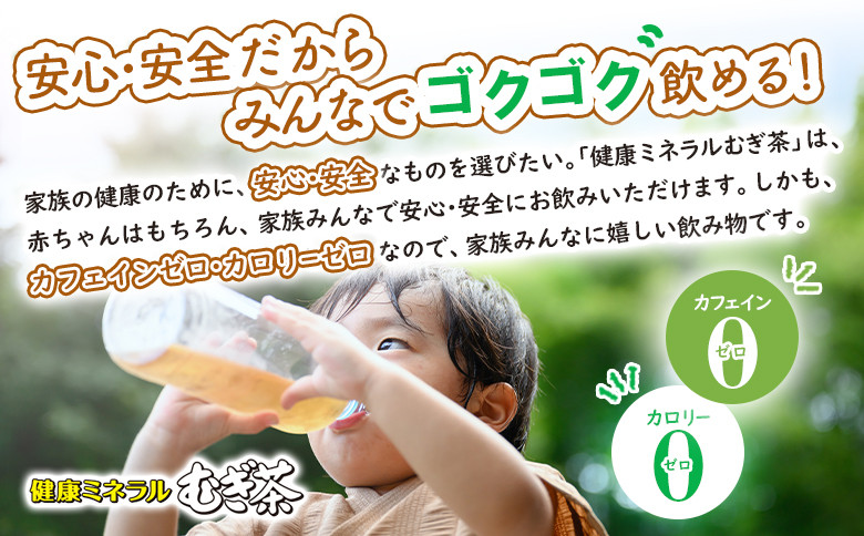 『定期便:全6回』健康ミネラル麦茶2L×6本×2箱