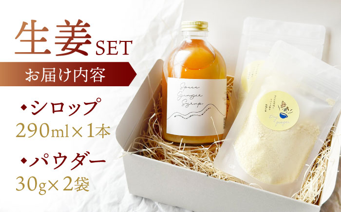 ジンジャーシロップ ジンジャー ジンジャーハイボール オリジナル 日々の暮らし 生姜シロップ しょうが ショウガ スパイス