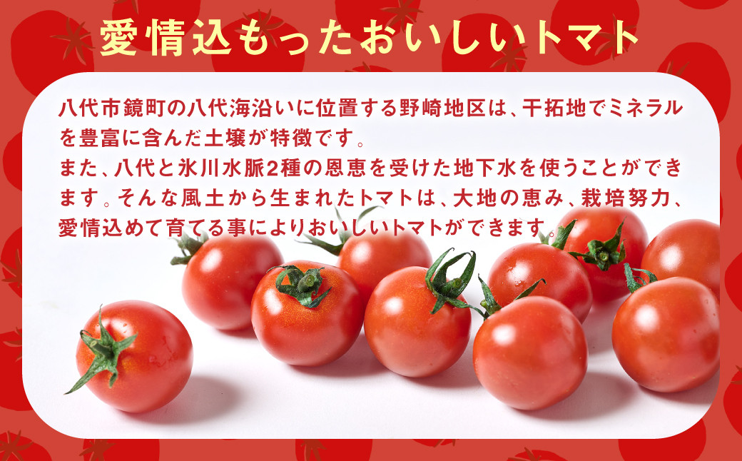 大地の恵み、栽培努力、愛情込めて育てる事によりおいしいトマトができます。
