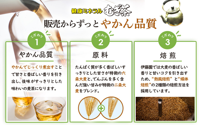 『定期便:全6回』健康ミネラル麦茶2L×6本×2箱