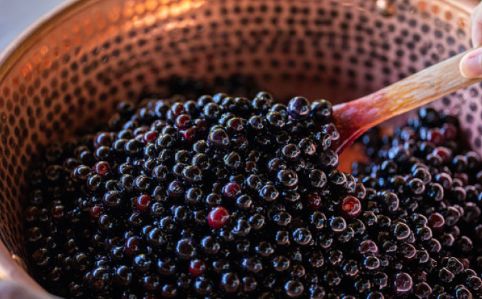 ジャム 有機 サトウキビ チョコ チョコレート カカオ グルテンフリー 自家製