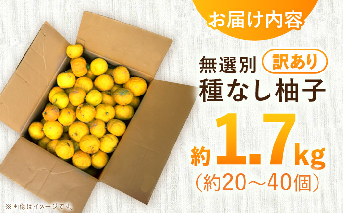 訳あり 柚子 家庭用 ゆず茶 ユズ 種なし ゆず 柚子胡椒 ゆずポン酢 種無し