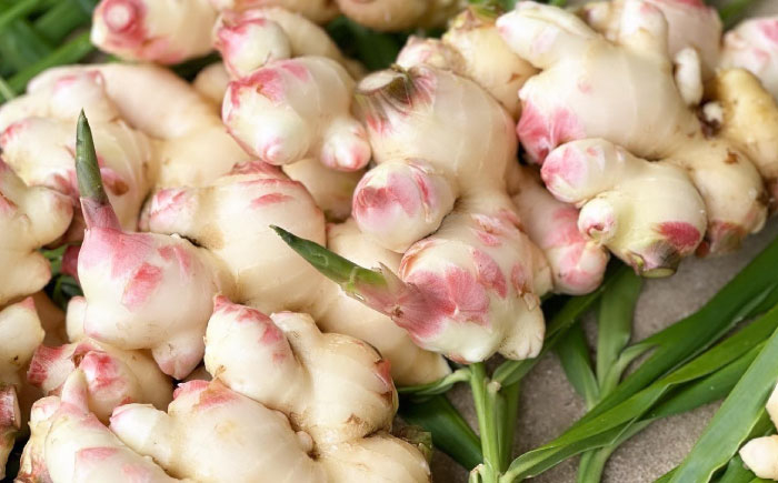 ジンジャーシロップ ジンジャー ジンジャーハイボール オリジナル 日々の暮らし 生姜シロップ しょうが ショウガ スパイス