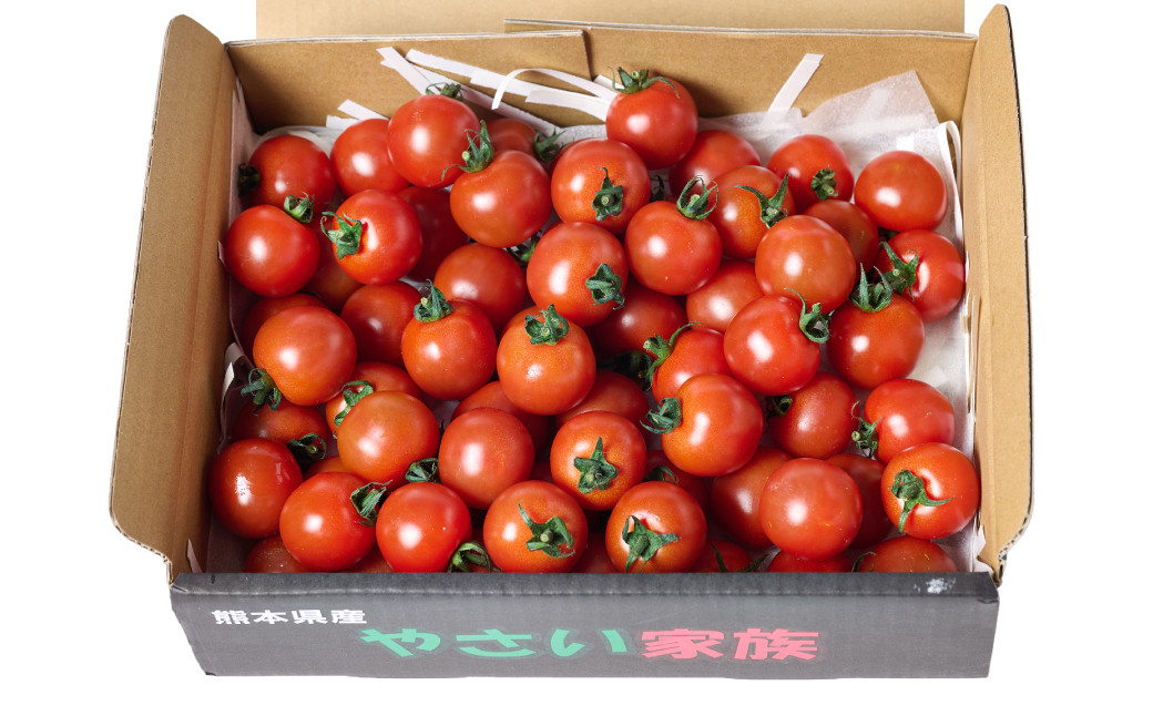 ミネラルを含んだ土壌で育った 熊本県八代市産 ミニトマト1kg