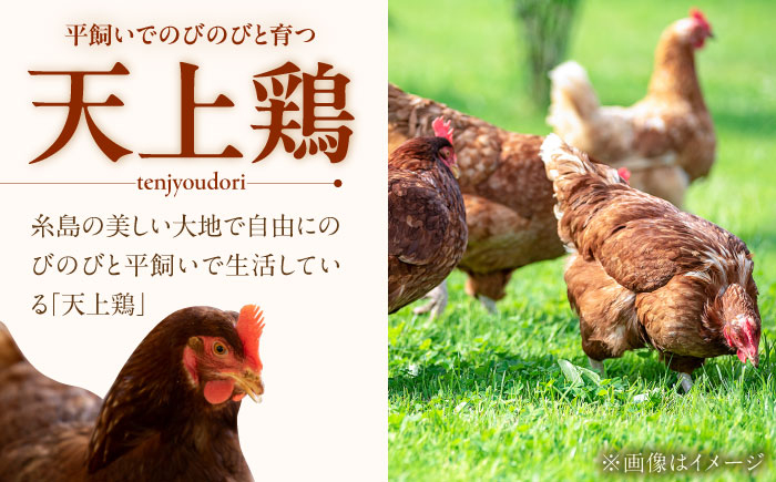 卵 たまご タマゴ 玉子 平飼い 生卵 40個 セット 鶏卵 新鮮 高級 自然 卵焼き 玉子焼き 卵かけご飯 玉子かけご飯