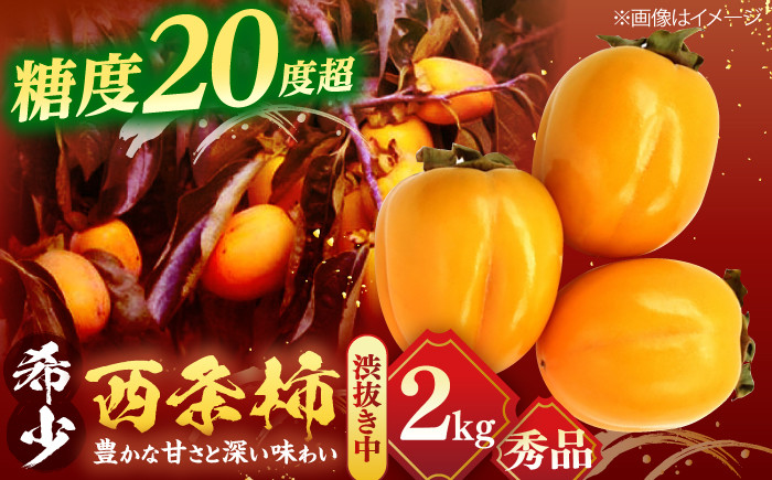 柿 大容量 合わせ柿 西条柿 デザート セット 島根 松江 おすすめ 人気