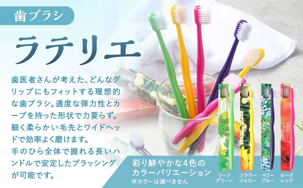 歯医者さんが考案した歯ブラシセット（ラテリエ×10本、ラテリエ・プチ×10本）