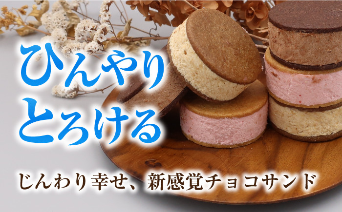 スイーツ ショコラサンド チョコレート ストロベリー 焼き菓子 洋菓子 お菓子 セット 詰め合わせ 詰合せ ギフト