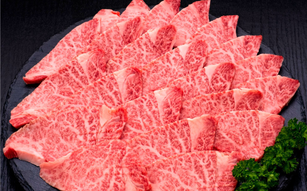 【3ヶ月定期便】【訳あり】博多和牛ヒレ焼肉 約600g×1パック 合計1.8kg 訳あり ヒレ 